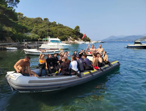 Croacia recibe a los participantes de los cursos RestReef
